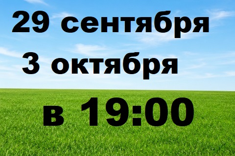 актерские курсы